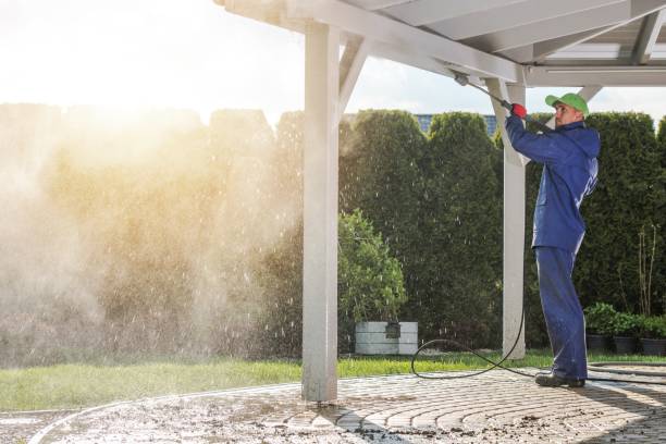 Best Building Exterior Washing  in Alamo Heights, TX