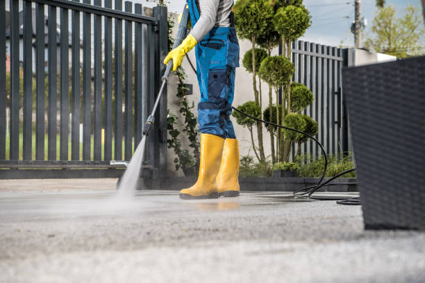Best Building Exterior Washing  in Alamo Heights, TX
